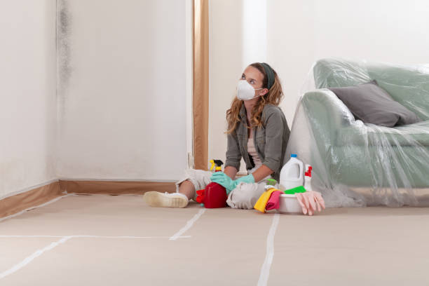 Reliable Commercial Mold Remediation contractor in Manns Choice, PA by WQB Mold Removal