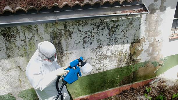 Top rated local Commercial Mold Remediation specialists in Manns Choice, PA